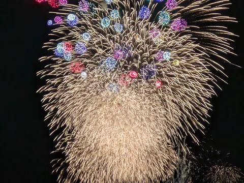 夜空を彩る、華麗な一閃