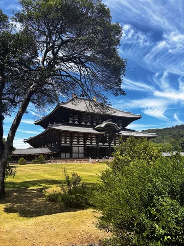 緑に抱かれる古刹の壮大さ