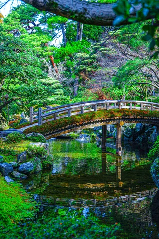 緑に包まれた静寂の橋