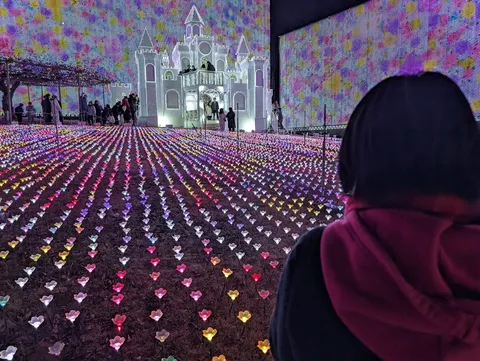 光の花畑で城を眺める
