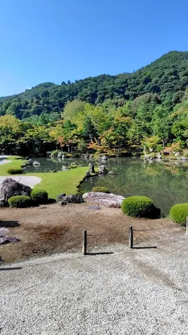 緑映える静寂の日本庭園