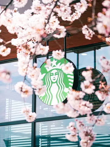 桜と光が織りなす春