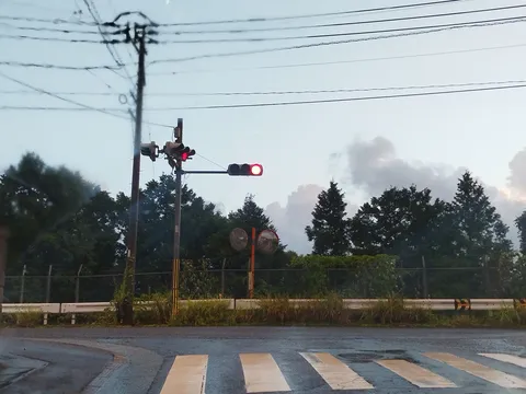 赤信号、雨上がりの道