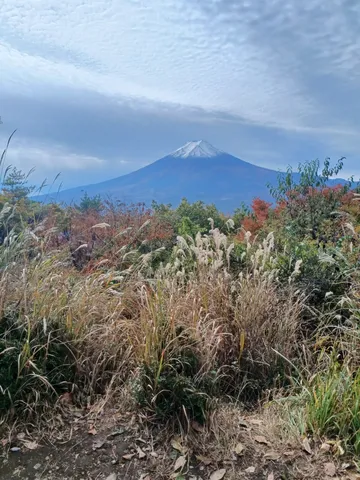 秋風を映す富士山の朝