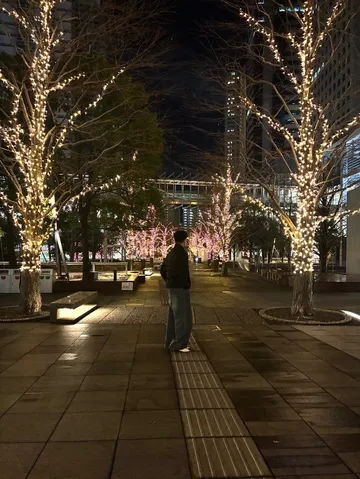 光の並木道、冬の夜。