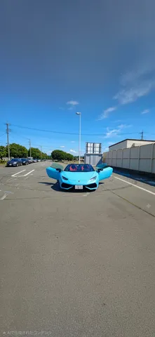 青い跳ね馬、夏の空