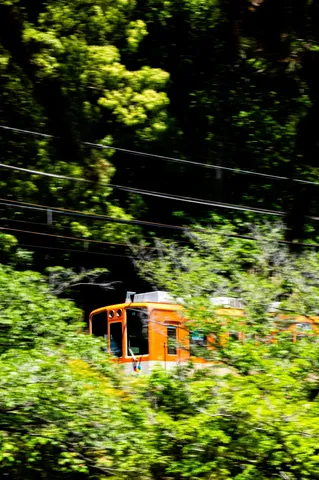 新緑と阪神電車