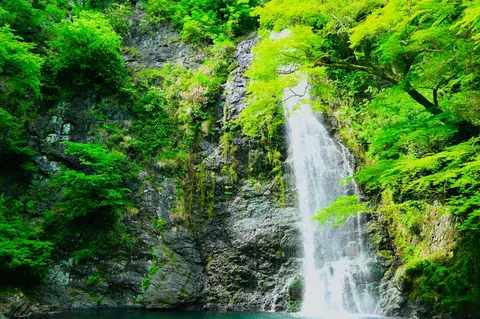 新緑輝く渓谷の滝