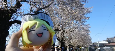 桜舞う道、ぬいぐるみの笑顔