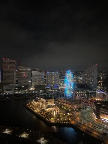 光の観覧車が照らす夜