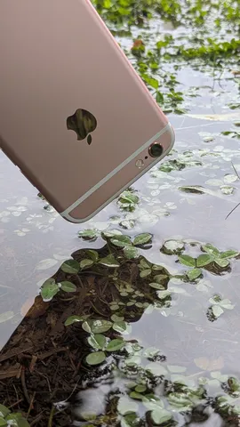 水面に映るスマホの影