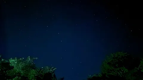 星降る夜の木漏れ日