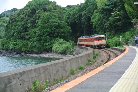 緑と海辺をゆく列車