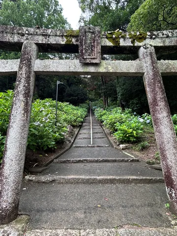 古の参道、静寂の誘い