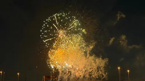 夜空に咲く光の花