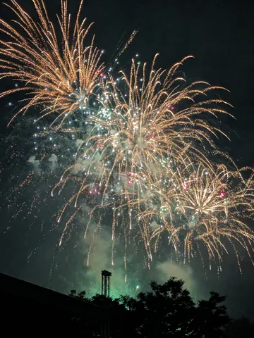 夜空を彩る華やかな光の饗宴
