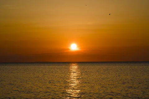 黄金の海に沈む太陽