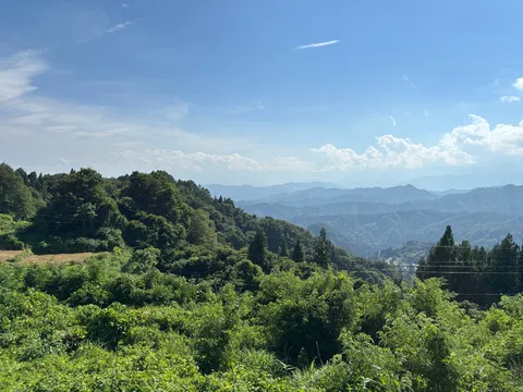 緑深き山並み、青い空