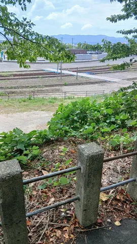 Railsと緑の静かな刻印