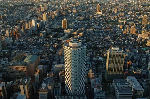 見下ろす都市の躍動