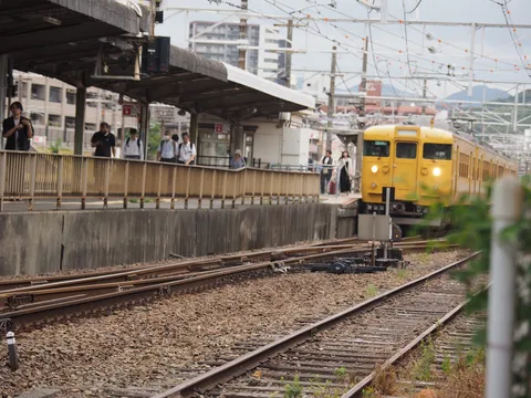黄色い列車と静かな待ち時間