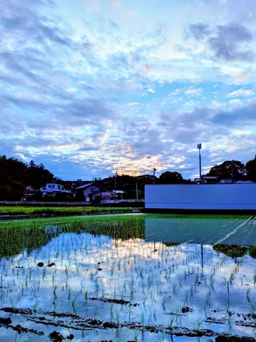水面に映る夕暮れ