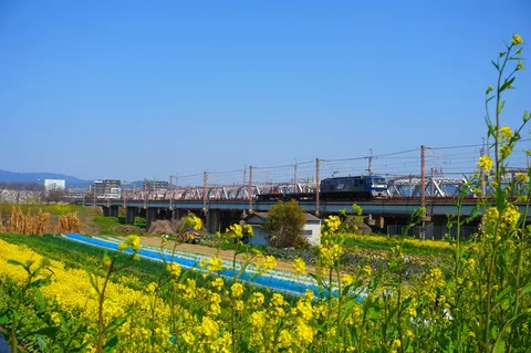 春の彩りと鉄道の旅