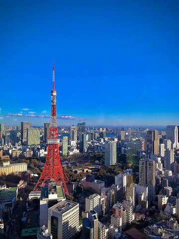 青と赤が織りなす都市風景