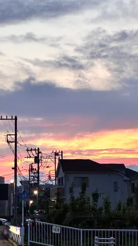 電線ジャングルとマジックアワー