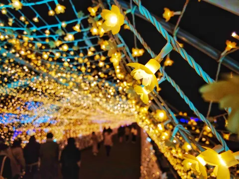 映える花灯り、どこまでも