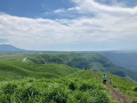 緑の丘を歩く風景