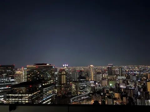 夜景に溶け込む都会の光