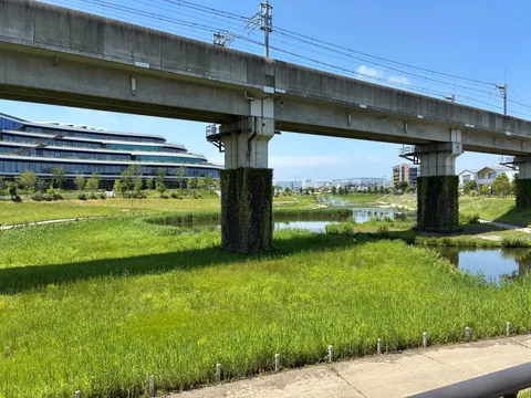 未来都市の緑陰