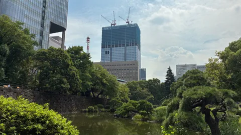 都市と緑が重なる風景