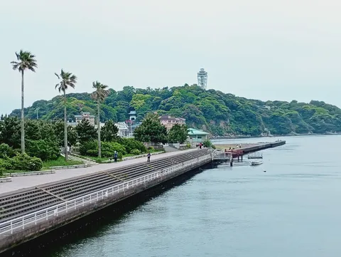 灯台とヤシの並木道