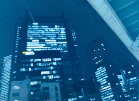 夜景に映る光の都市