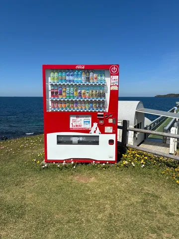 海辺に佇むオアシス