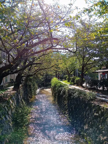 涼やか水路と木漏れ日の散歩道