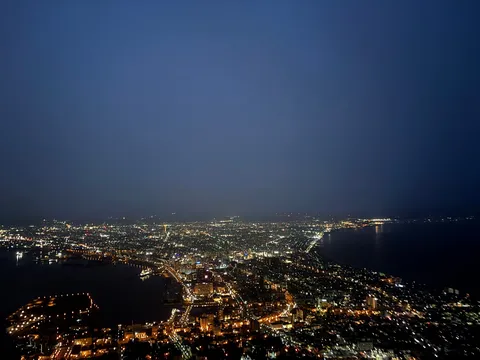 夜景に広がる光の絨毯