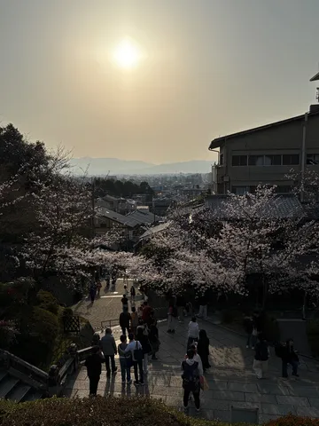 夕焼けと桜