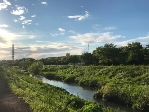 水辺に揺れる午後の気配
