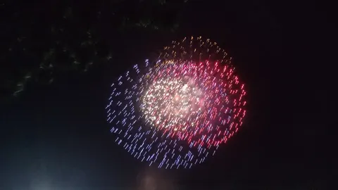 夜空に咲いた三色の花火