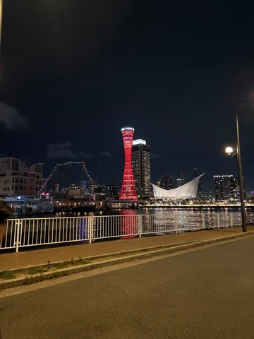 夜景にそびえるタワーと異形建築