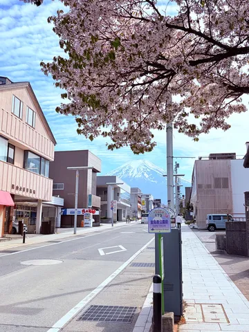 春らんまん、富士山と街並み