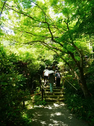 木漏れ日の石段散策