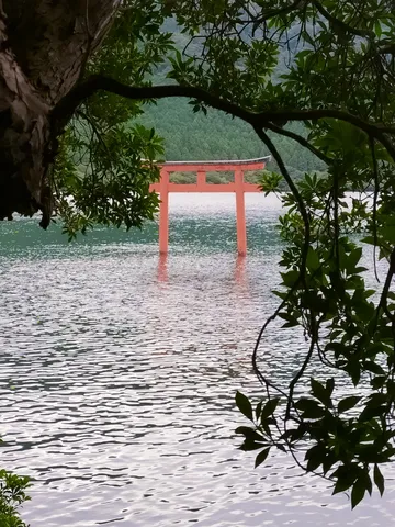 湖に佇む鳥居、水面の揺らぎ