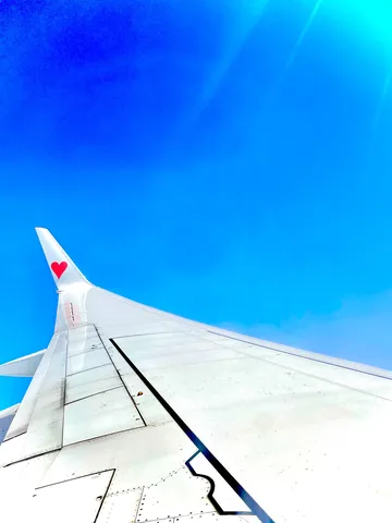 空への愛、翼にハート