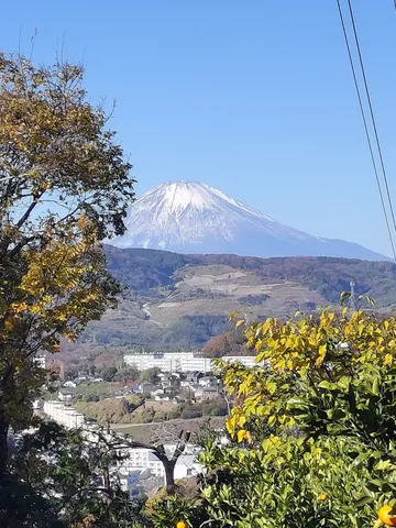 雄大な富士山と街並みのコントラスト