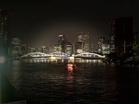 夜景に映える、都会の川と橋