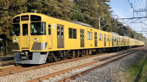 黄色の車体が映える鉄道風景